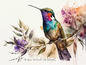 Hummingbird Sticker 3X4"